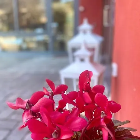 Penzion La Casina Rossa