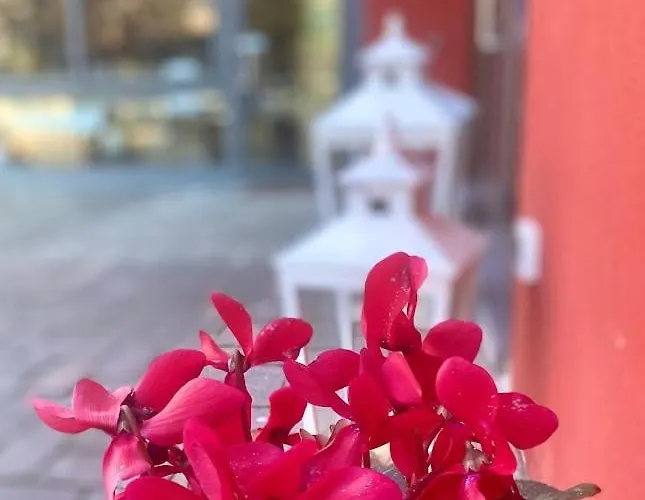 Гостевой дом La Casina Rossa